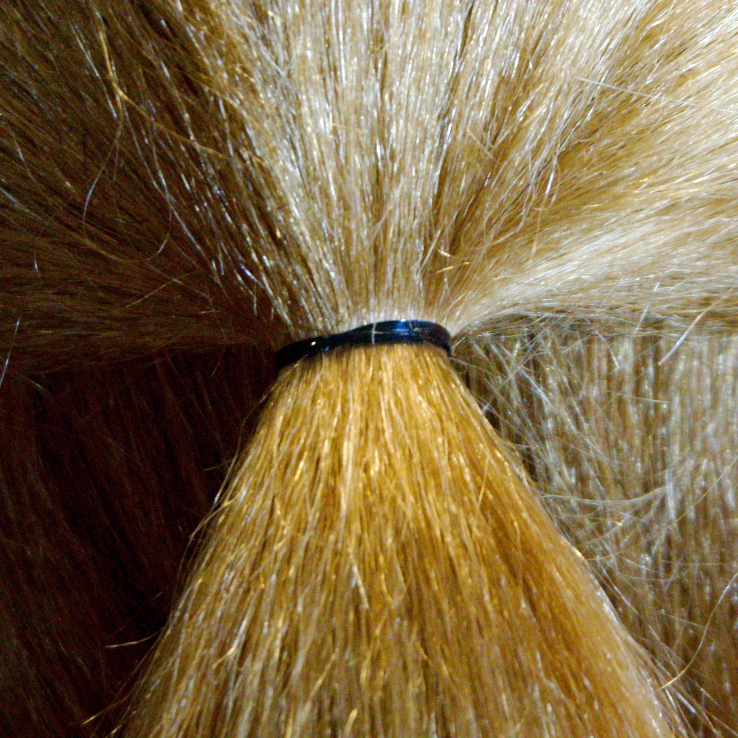 Amelia Beauty | 1/2in, Black, Tangle Free Elastic Pony Tail Holders | Made in USA, Ideal for Ponytails, Braids, Twists. For Women, Girls. Pain Free, Snag Free, Easy Off | 1000 Pack