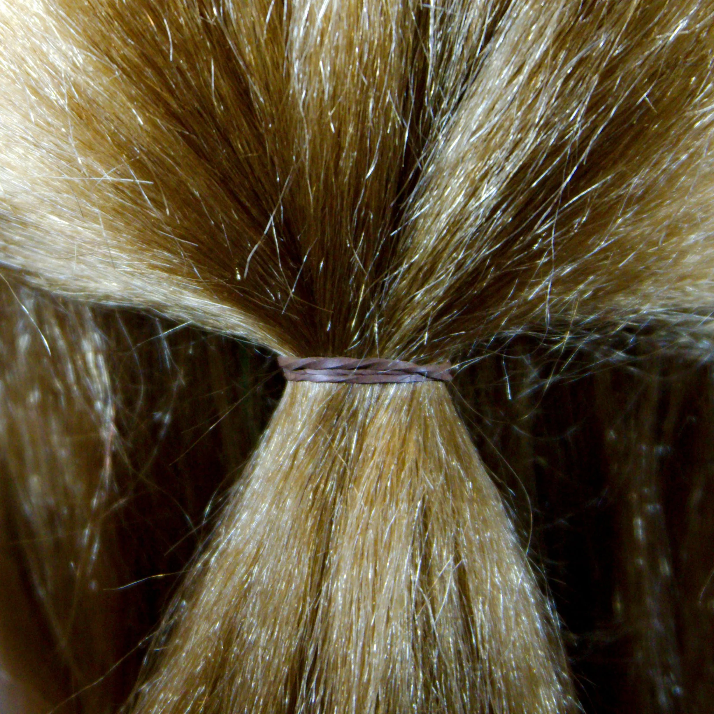 Amelia Beauty | 1/2in, Brown, Elastic Rubber Band Pony Tail Holders | Made in USA, Ideal for Ponytails, Braids, Twists, Dreadlocks, Styling Accessories for Women, Men and Girls | 500 Pack