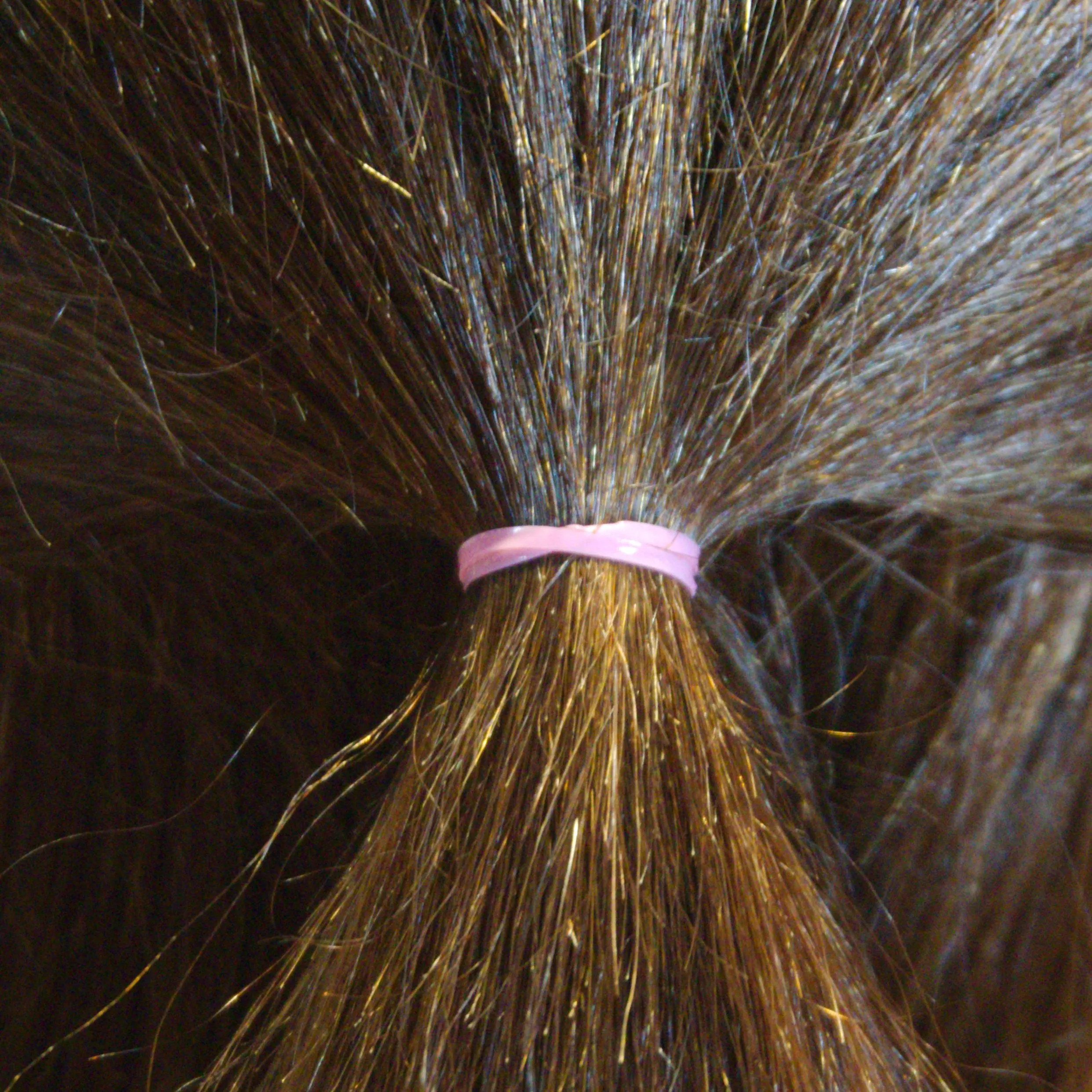 Amelia Beauty | 1/2in, Fuchsia, Tangle Free Elastic Pony Tail Holders | Made in USA, Ideal for Ponytails, Braids, Twists. For Women, Girls. Pain Free, Snag Free, Easy Off | 1000 Pack
