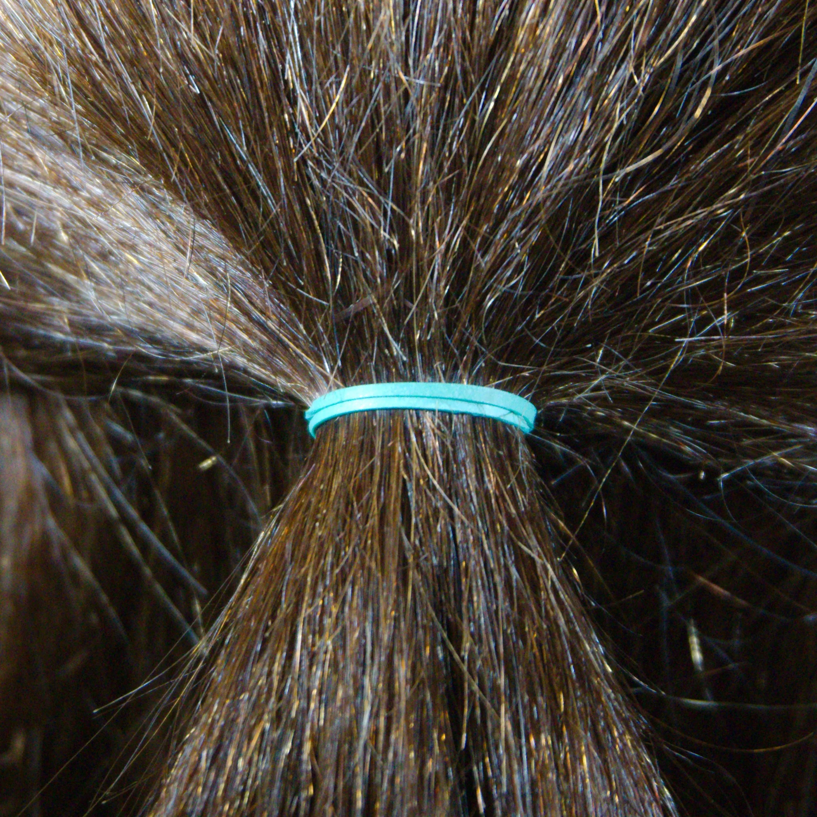 Amelia Beauty | 1/2in, Green, Elastic Rubber Band Pony Tail Holders | Made in USA, Ideal for Ponytails, Braids, Twists, Dreadlocks, Styling Accessories for Women, Men and Girls | 500 Pack