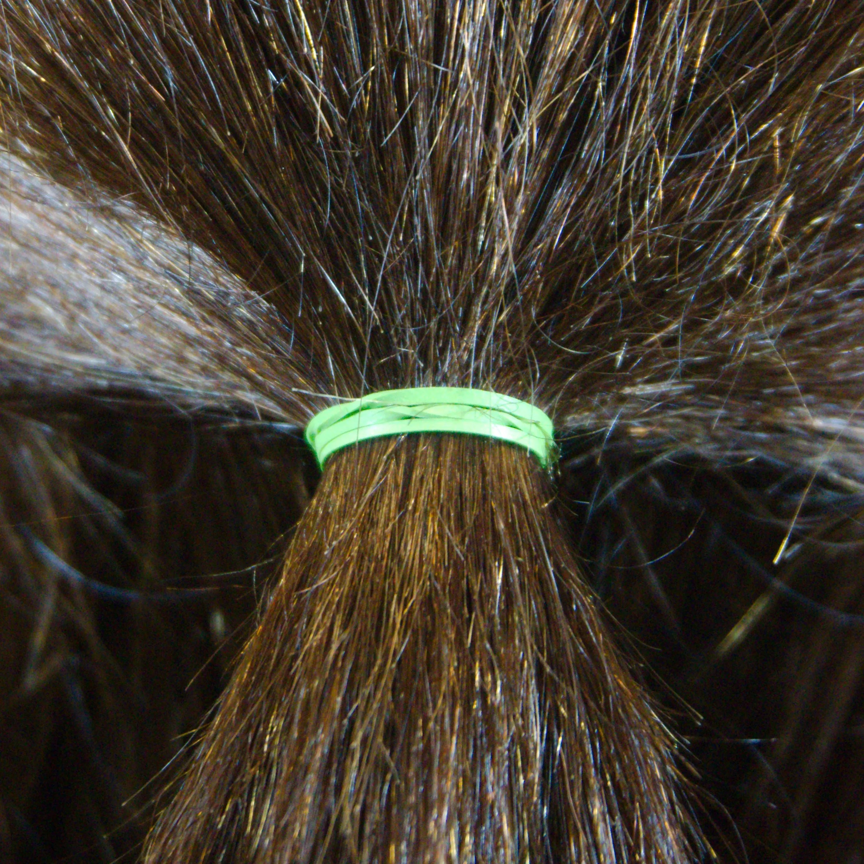 Amelia Beauty | 1/2in, Lime, Elastic Rubber Band Pony Tail Holders | Made in USA, Ideal for Ponytails, Braids, Twists, Dreadlocks, Styling Accessories for Women, Men and Girls | 1000 Pack