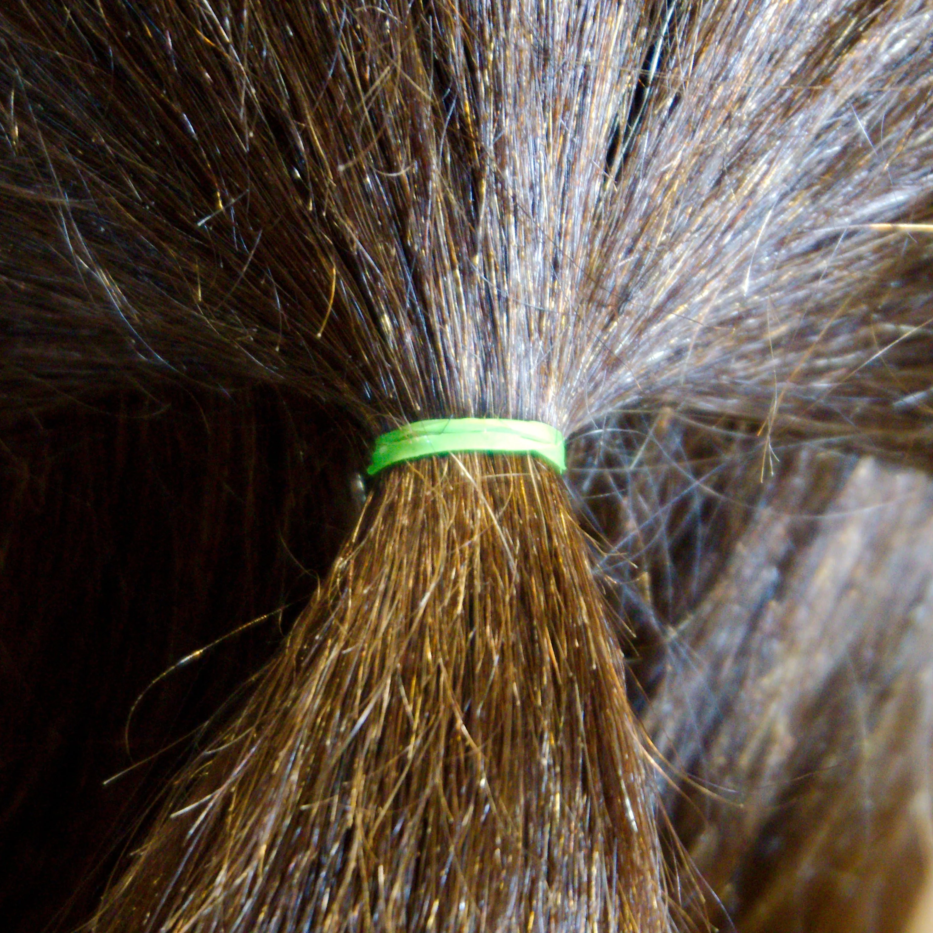Amelia Beauty | 1/2in, Lime, Tangle Free Elastic Pony Tail Holders | Made in USA, Ideal for Ponytails, Braids, Twists. For Women, Girls. Pain Free, Snag Free, Easy Off | 1000 Pack