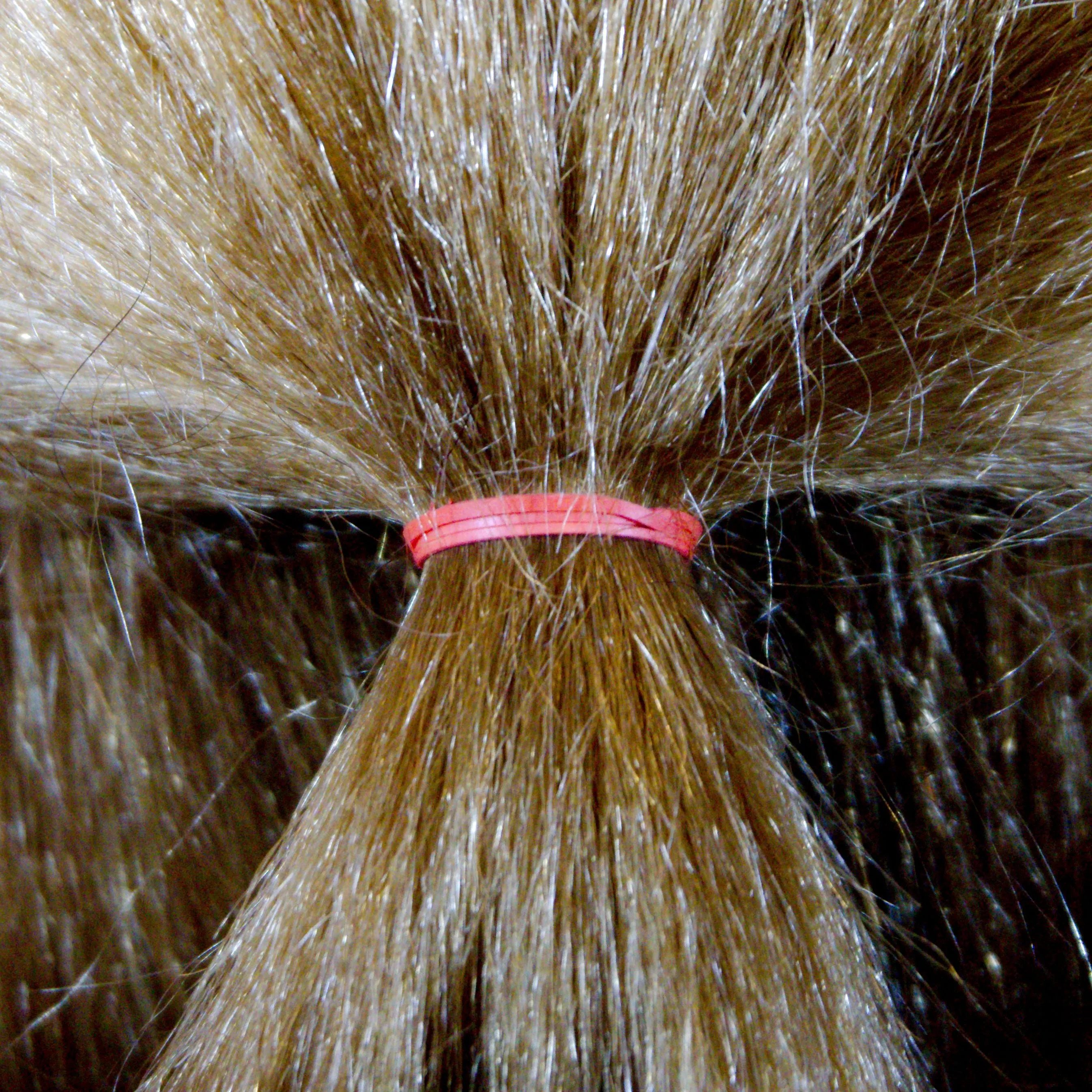 Amelia Beauty | 1/2in, Red, Elastic Rubber Band Pony Tail Holders | Made in USA, Ideal for Ponytails, Braids, Twists, Dreadlocks, Styling Accessories for Women, Men and Girls | 500 Pack