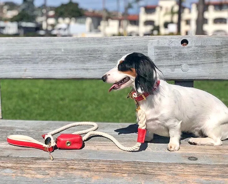 BUNDLE - MELTING HEARTS