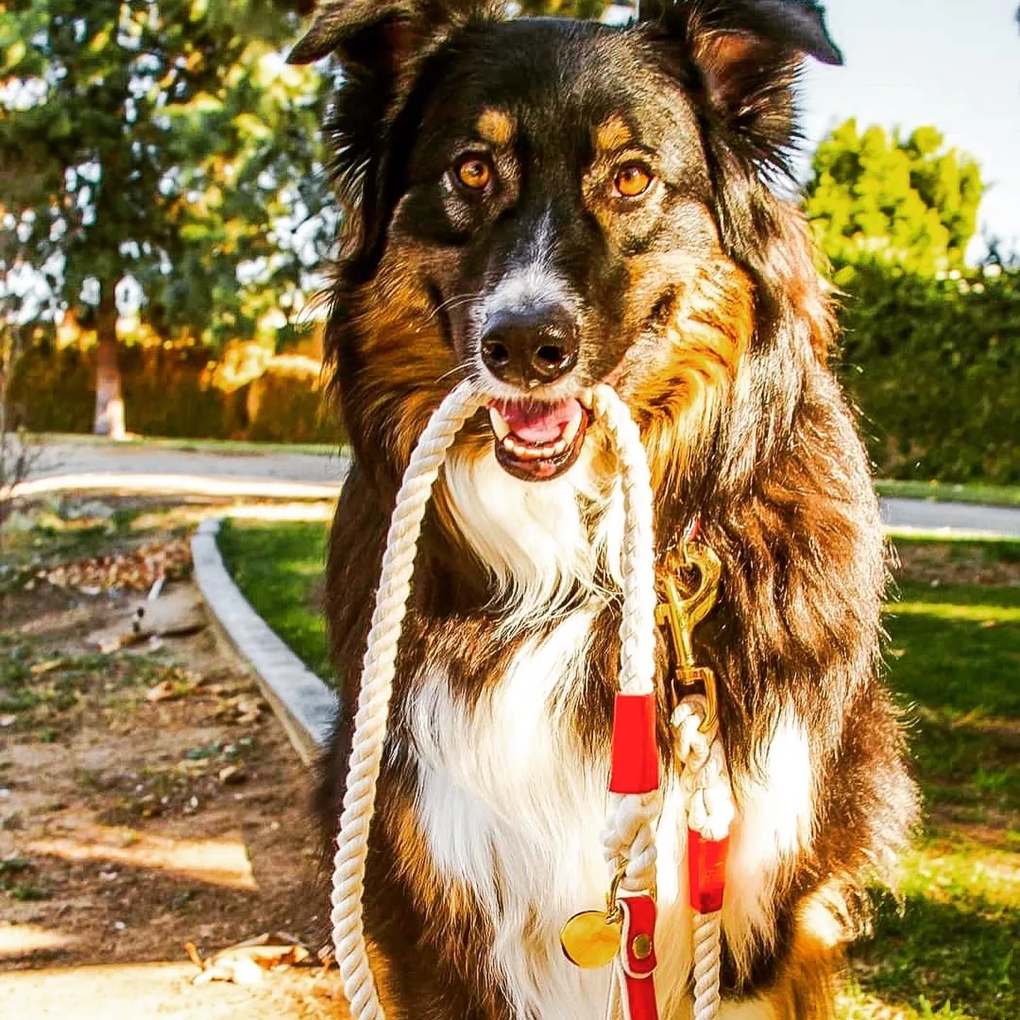 BUNDLE - MELTING HEARTS
