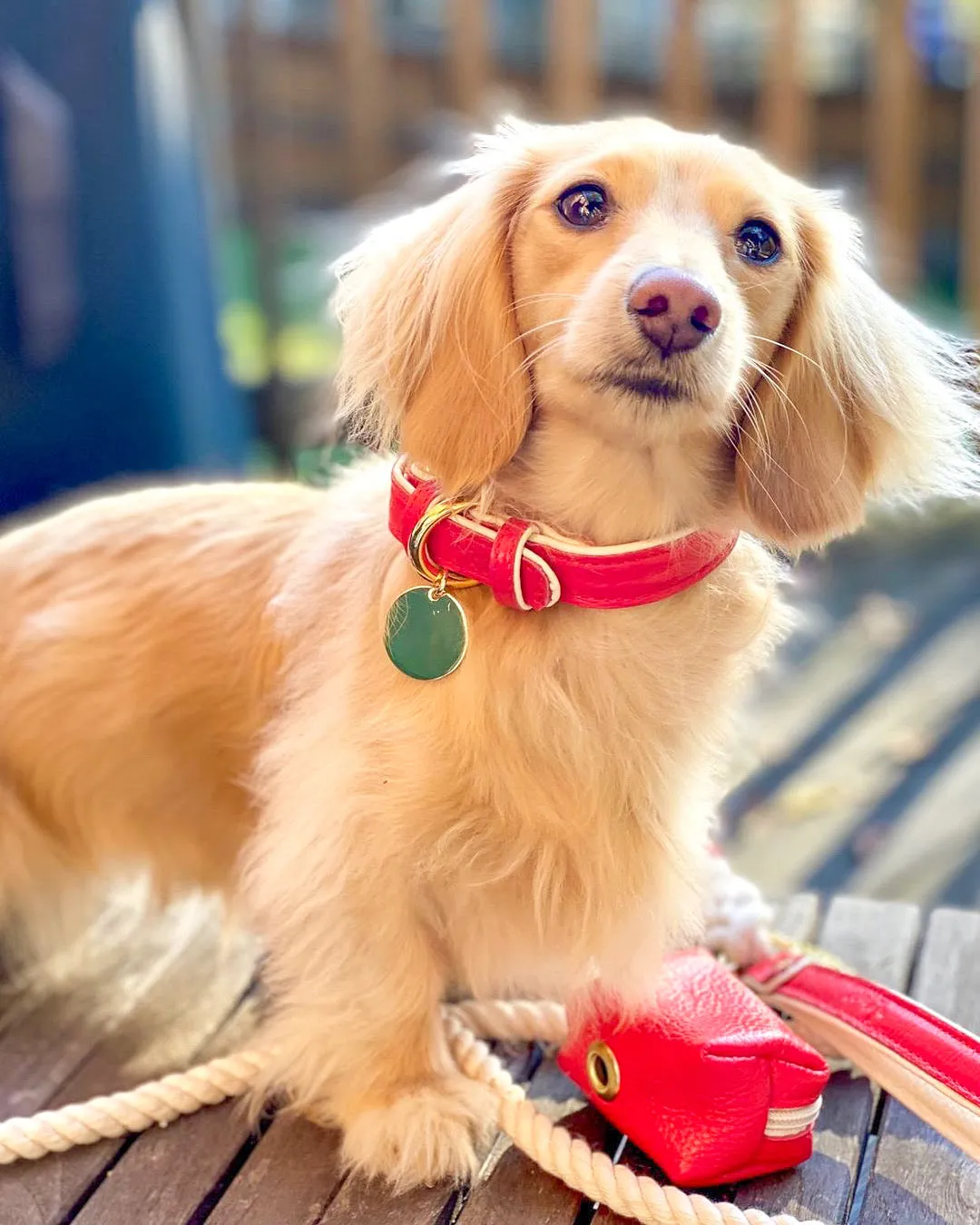 BUNDLE - MELTING HEARTS