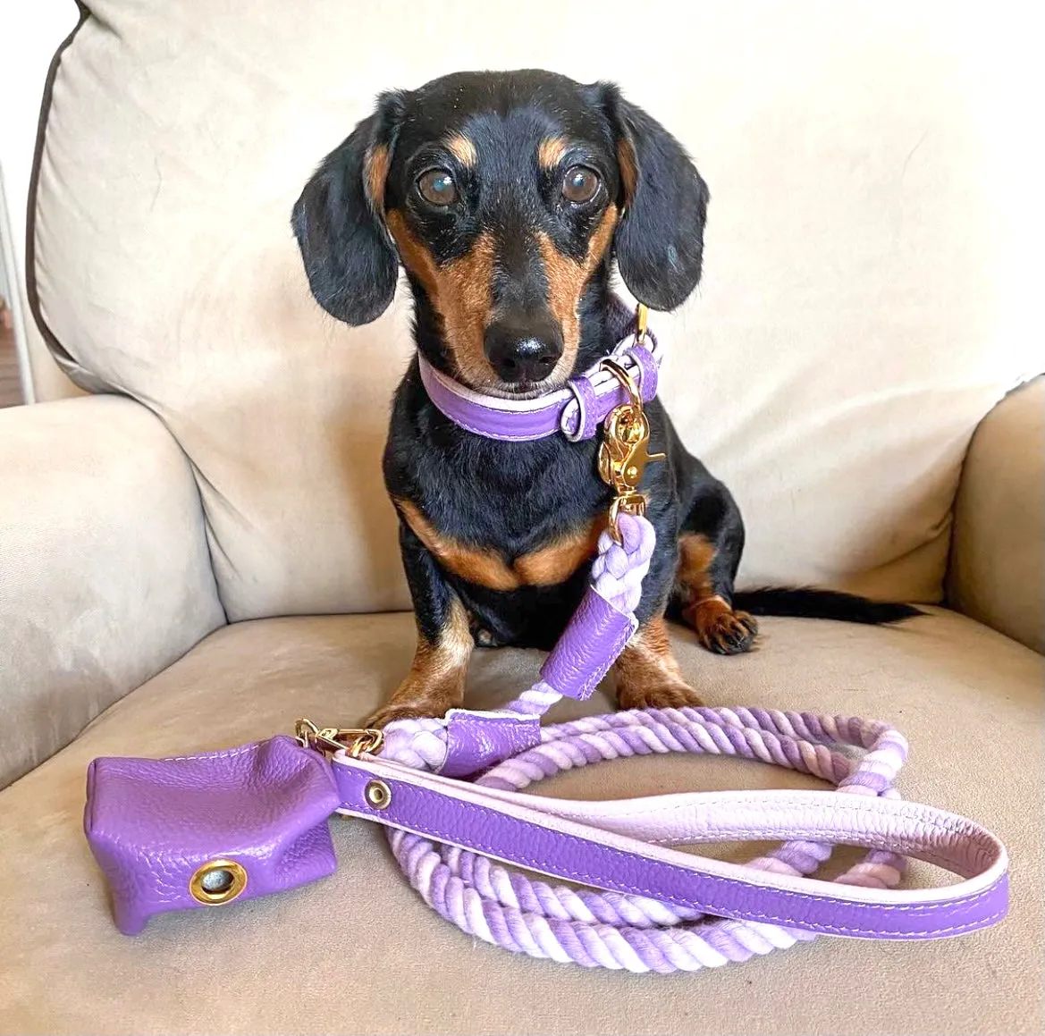 LEASH - LAVISH LAVENDER