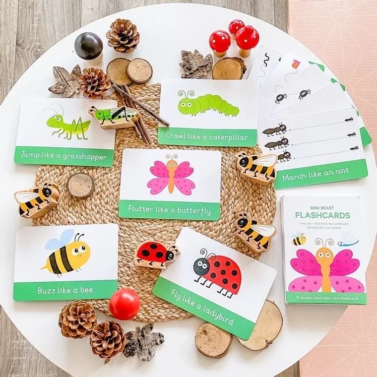Mini Beasts & Pen Control Flashcards |  Toddler Flashcards
