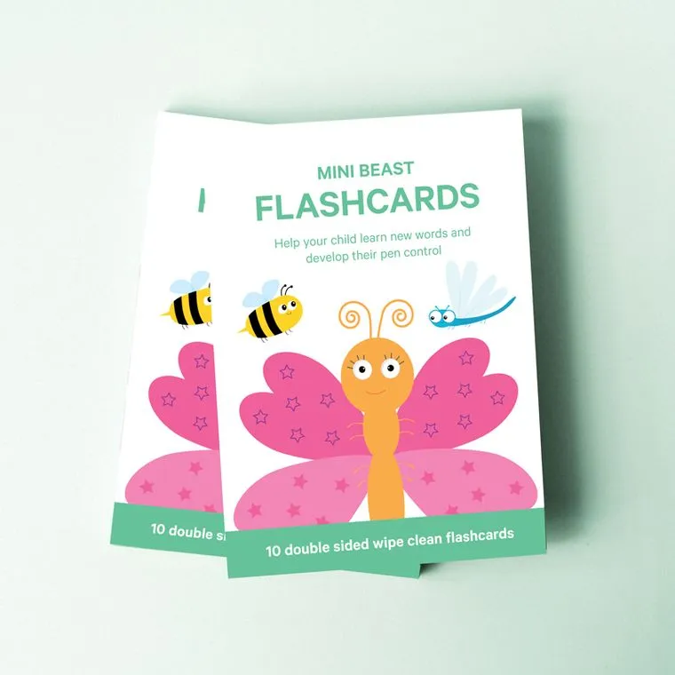 Mini Beasts & Pen Control Flashcards |  Toddler Flashcards