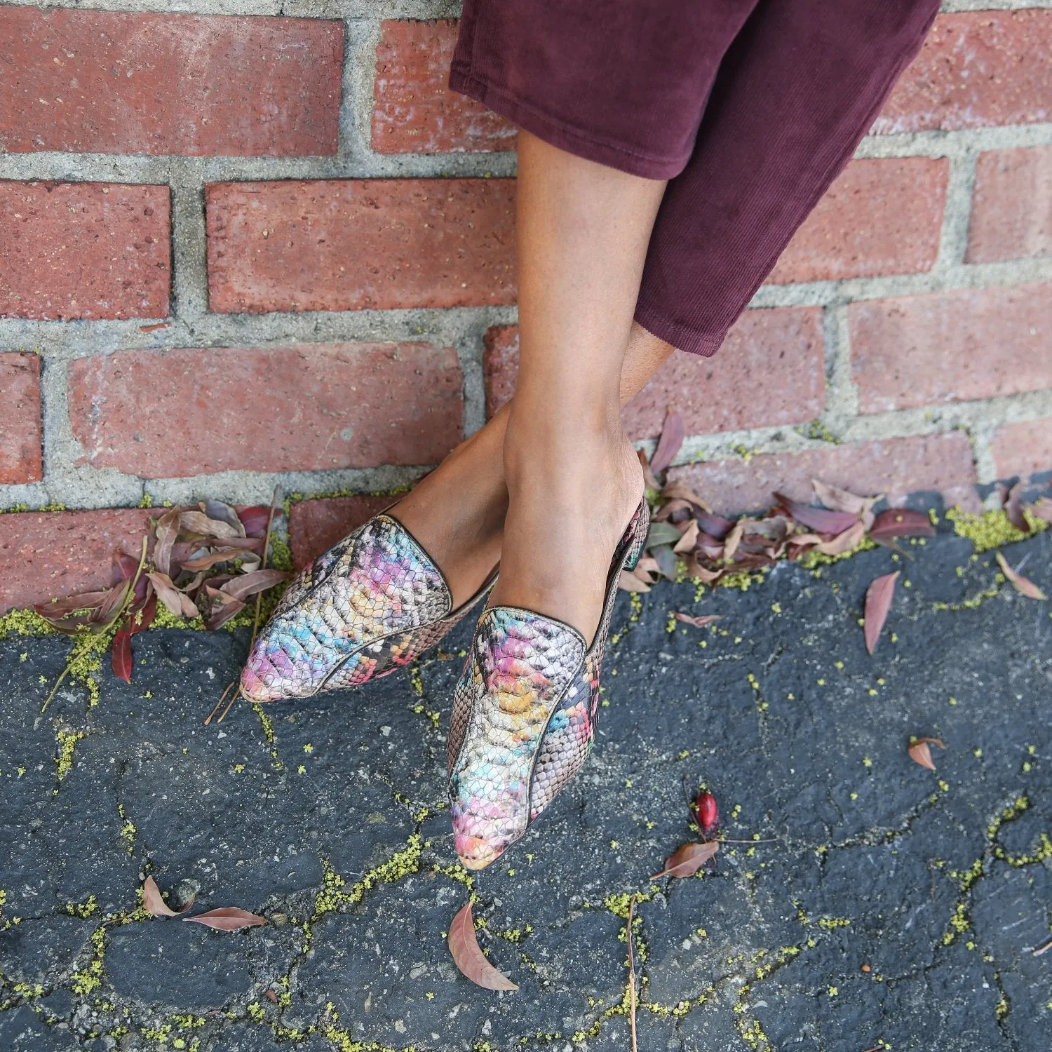 Painted Snake Pointed Loafer   Marilyn Strap