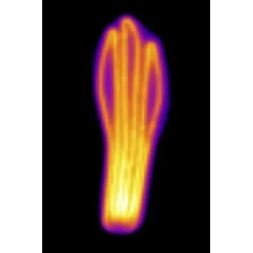 Scott Heated Insoles Heating Accessories