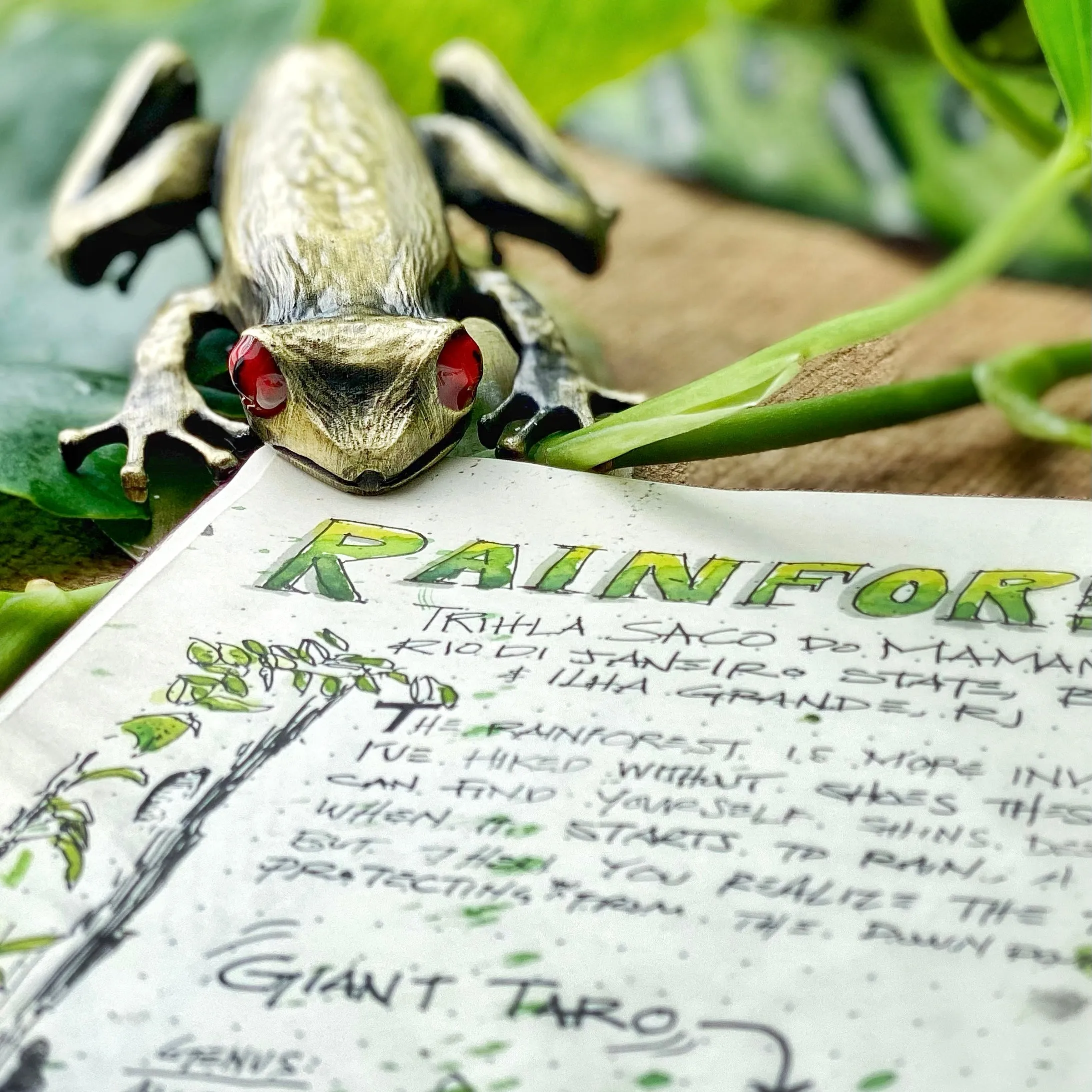 Tree Frog Page Clip